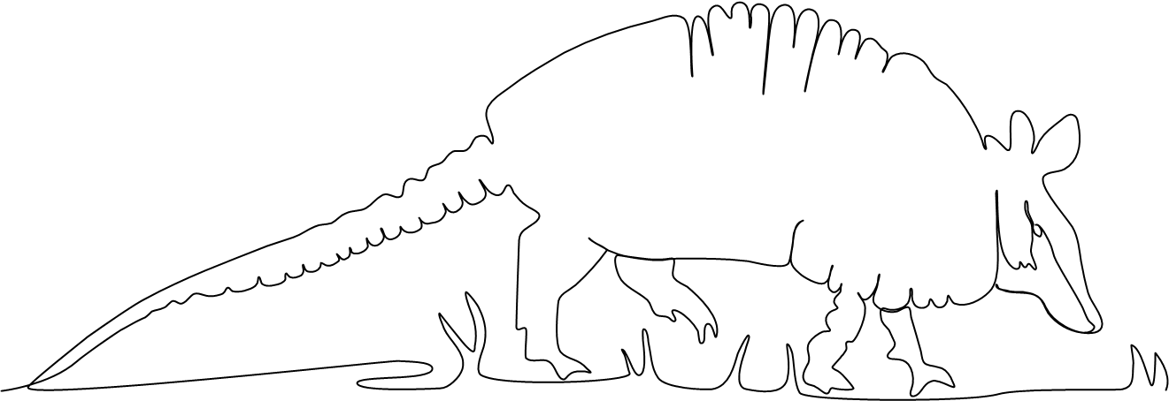 armadillo in continuous line