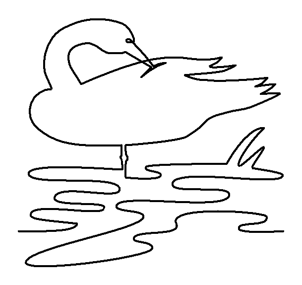 Duck Preening quilting pattern