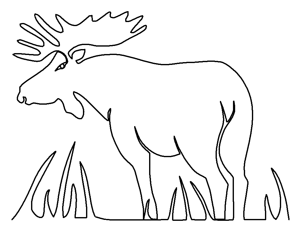 Moose Bull quilting pattern