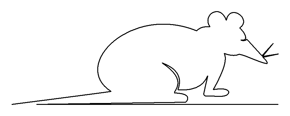 Mouse 1