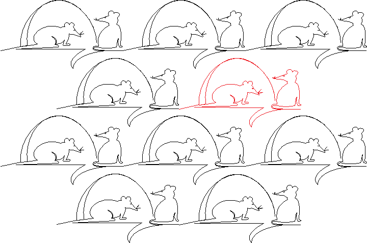 Mouse Colony repeat, even rows 50% offset