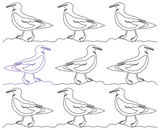 Seagull 1 repeat, even rows x flip