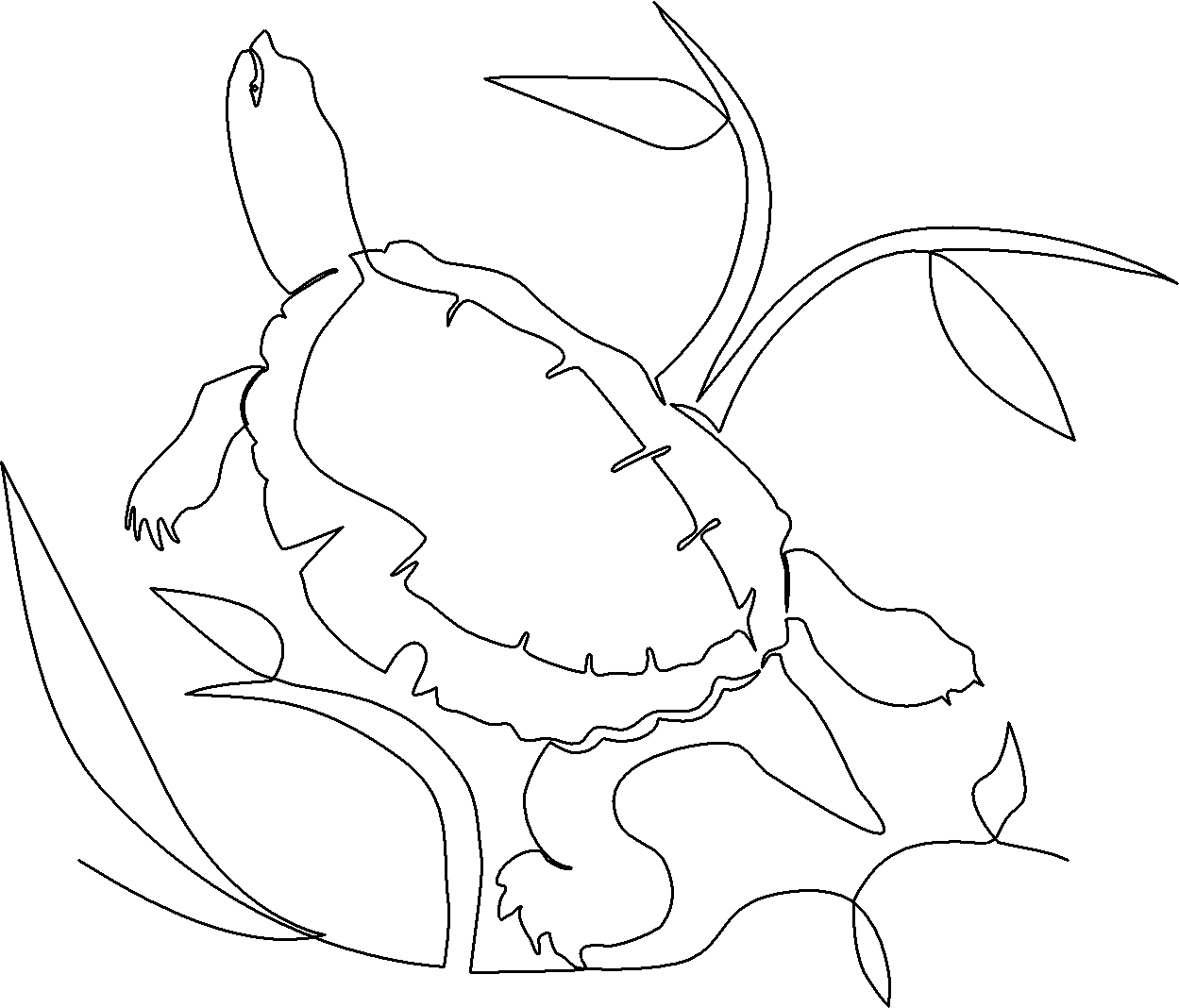 Turtle From Pond quilting pattern