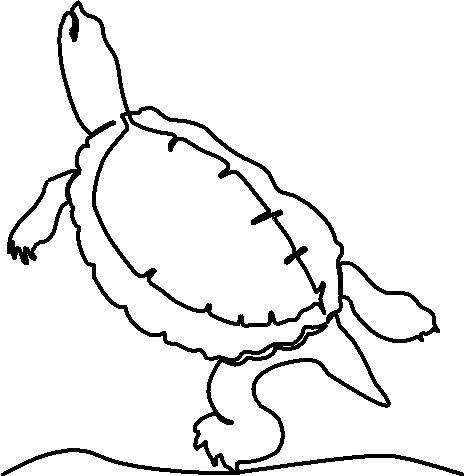 Turtle image quilting pattern