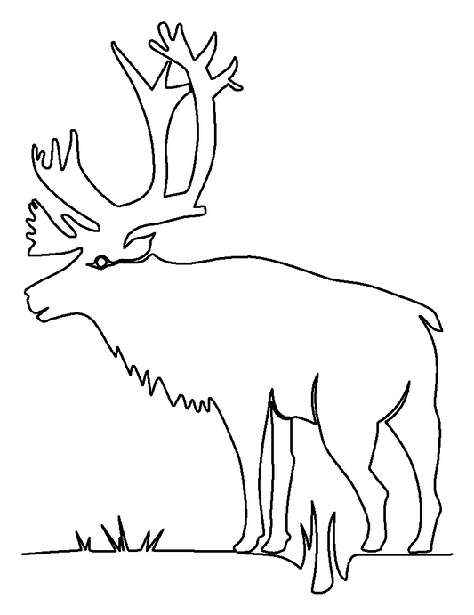 Caribou quilting pattern