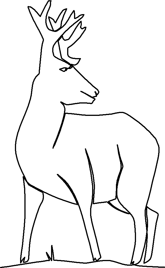 Deer Buck  1 quilting pattern