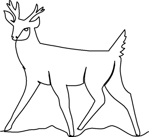 Deer Young Buck quilting pattern