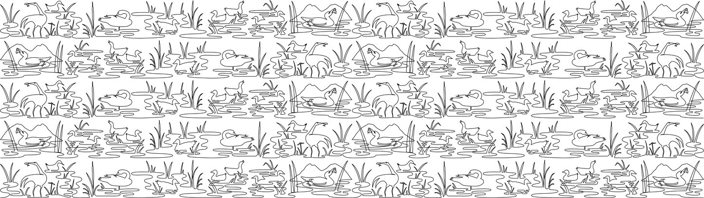 Ducks Border