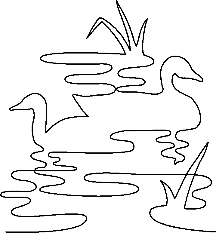 Ducks with Grass in Pond quilting pattern