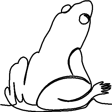 Frog Looking Up quilting pattern