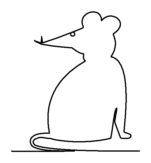 Mouse 2 pattern