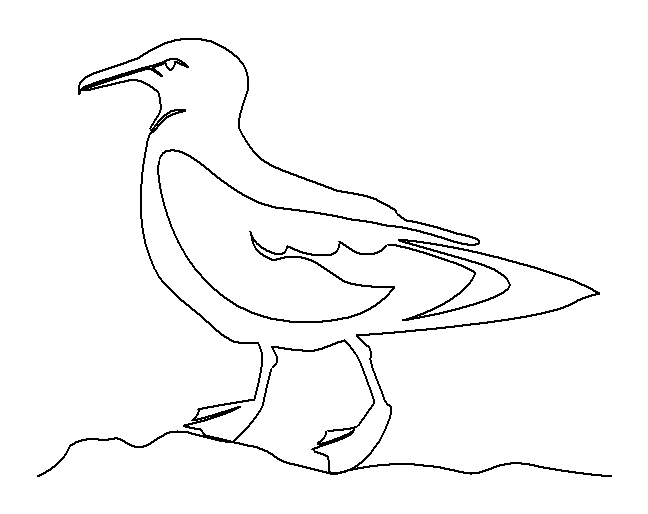 Seagull 1 quilting pattern