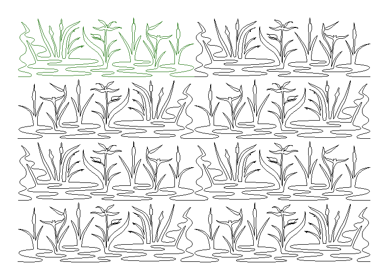 Siberian Iris Cattail repeat, even rows x flip