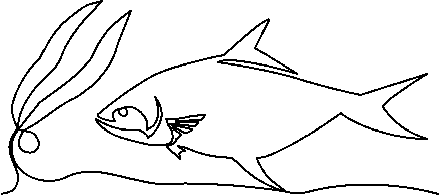 Tuna Yellowfin