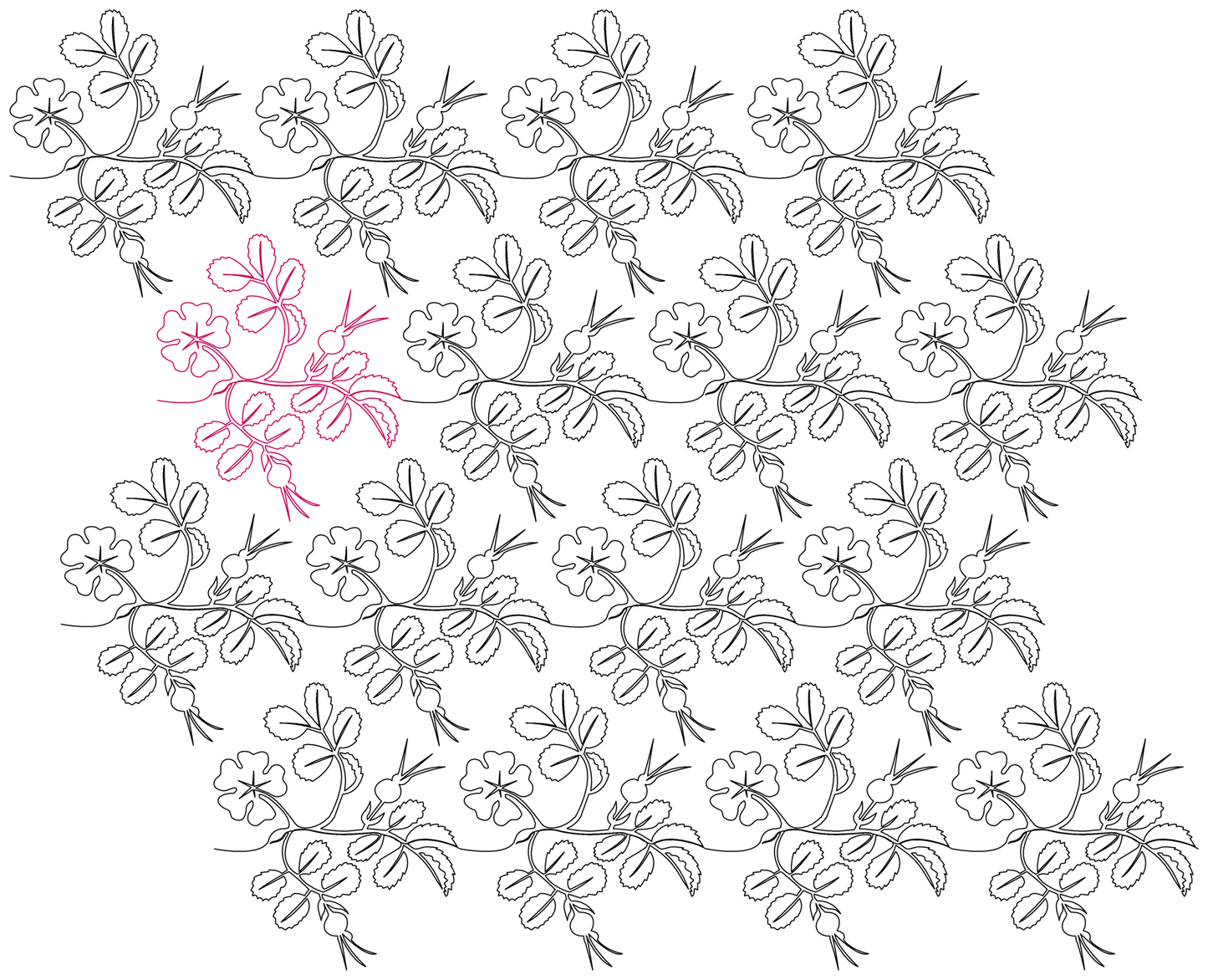 Wild Rose E2E progressive repeat: 60%