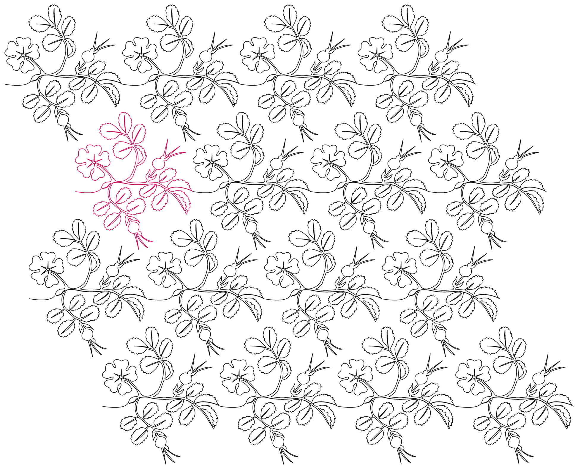 Wild Rose E2E progressive repeat: 60%